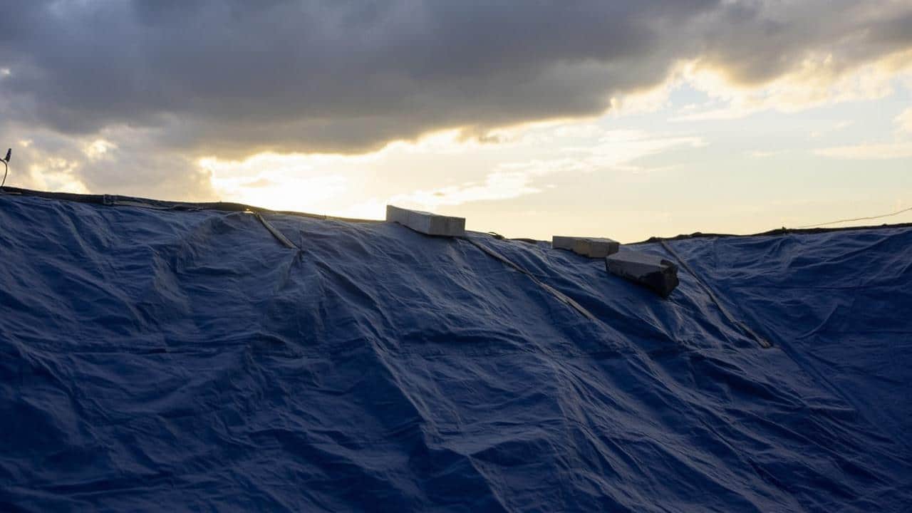 emergency roof tarping pasadena tx